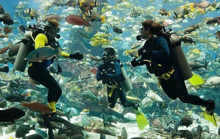 Scuba Diving at Jumeirah Dubai with Private Transfers