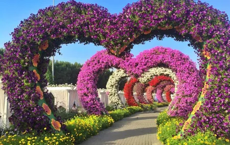 Private Guided Tour In and Around Dubai