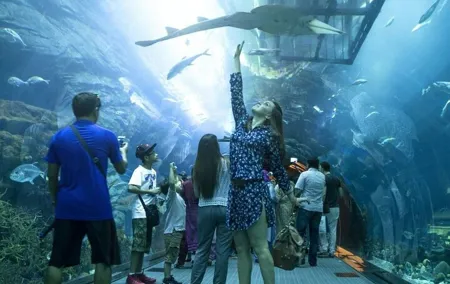 Aquarium and Underwater with Penguin Cove Zoo Dubai Mall