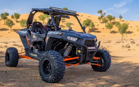 Dubai Buggy Tour Private basis With Dinner
