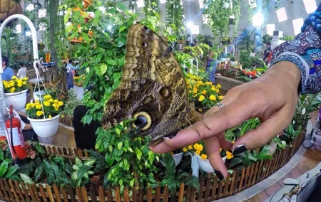 Dubai Trio Tour: Miracle Garden•Butterfly Garden •Global Village