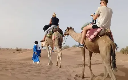 Private - Camel Trekking in Dubai with Morning Dune Bashing and Sand Boarding