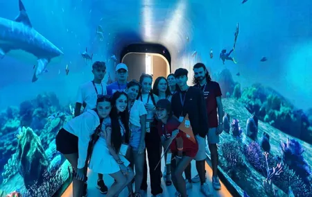 Dubai Aquarium And Underwater Zoo Tickets At Dubai Mall