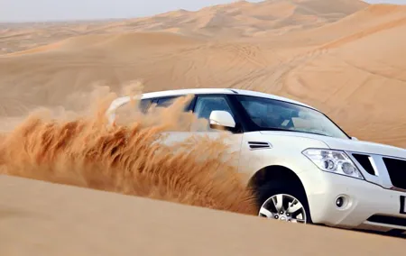 Dubai Red Dune Desert Safari: Camel Ride, Sandboarding & BBQ