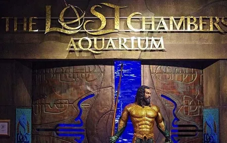 Dubai Lost Chamber Aquarium Atlantis Ticket wth optional transfer
