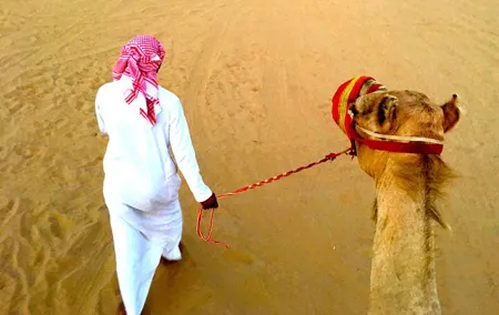 Dubai Desert Safari Camel Ride and ATV Bike with BBQ Dinner