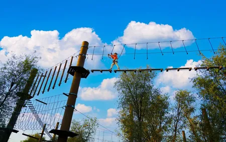 Up to 4 Hour Admission on our Ziplines and Ropes Courses.