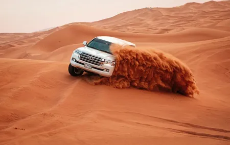 Dubai City Tour And Desert Safari With Dinner