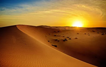 Dubai Morning Desert Safari with Quad Biking and More Activities
