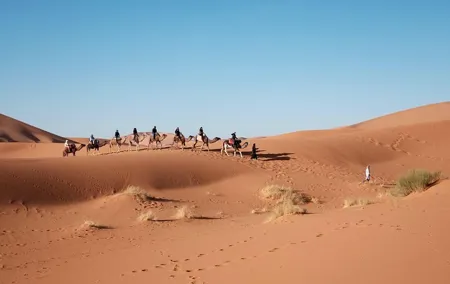 Camel Riding In Dubai Desert