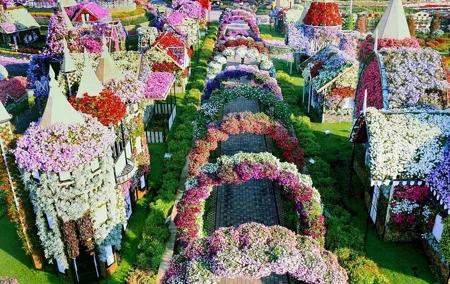 Dubai Miracle Garden and Butterfly Garden with Private Transfers