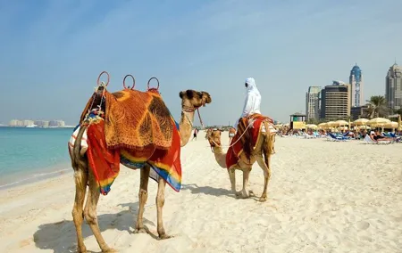 Dubai : Private Custom Walking Tour with A Guide (Private Tour)