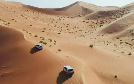 Desert Safari Dubai with Dune Bashing, Activities and Dinner