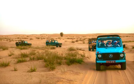 Evening Heritage Safari by Vintage G-Class at Al Marmoom Oasis