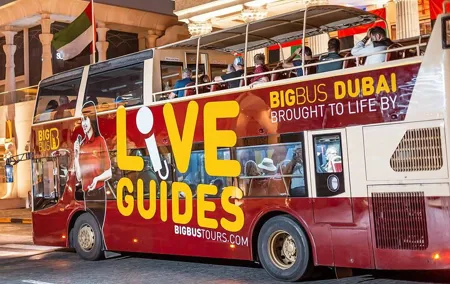 Big Bus Tour Ticket