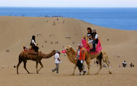 Dubai Evening Desert Safari Tour