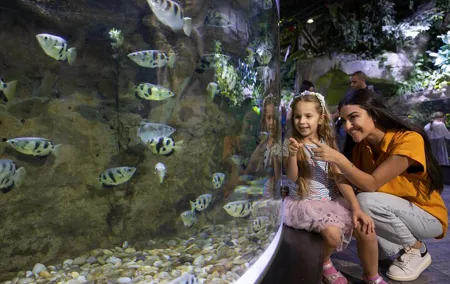 Dubai Aquarium and Underwater Zoo Entrance Ticket