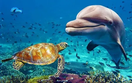 Dubai Aquarium and Underwater Zoo Admission Ticket