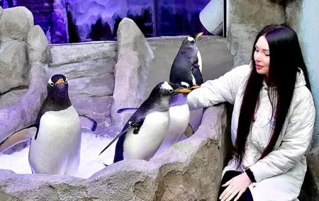 Dubai Aquarium Underwater Zoo with Penguin Cove Entry Tickets