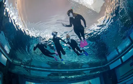 Deep Dive Experience in Dubai Ticket with Transfer Option
