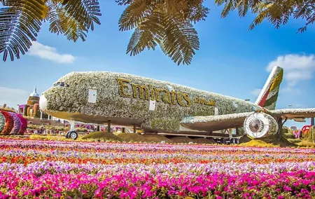 Miracle Garden And Global village Entry Ticket with Transfers