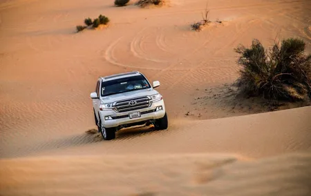 VIP Evening Desert Safari, Camel Ride, Dune Bashing, Sand Boarding, Exclusive