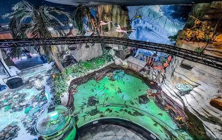 Dubai Mall Aquarium &Underwater Zoo Tickets with Private transfer