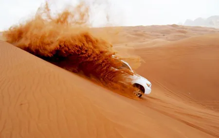 Dubai Morning Safari