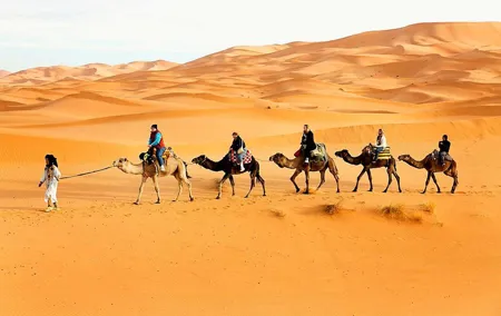 Sunrise View Desert Safari with Dune Bashing and Sand Boarding