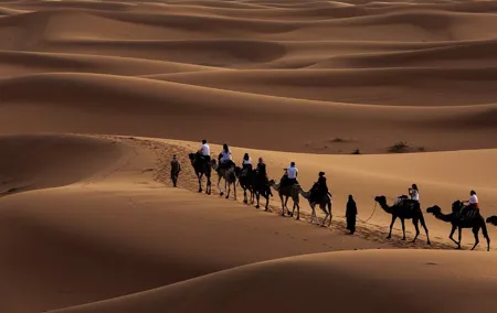 Morning Desert Safari with Dune Bashing and Sand Boarding