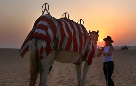 Dubai Sunset Camel Trekking With BBQ Dinner at VIP Camp
