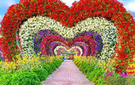 Dubai Miracle Garden Tickets with Round Trip Transfer
