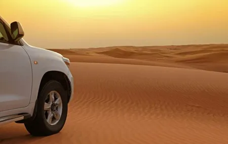 Dubai Red Dunes Morning Safari With Camel Ride