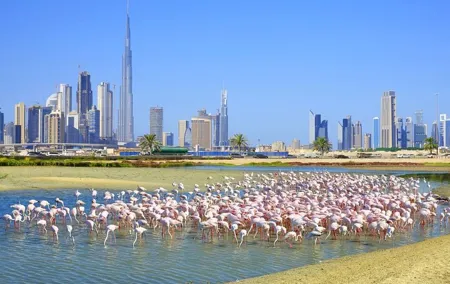 Charming Dubai City Tour with The View at The Palm - Scenic Tourist Attraction