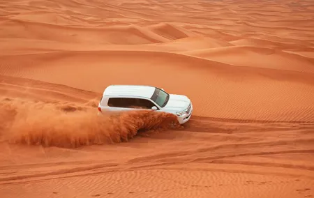 Red Dunes Morning Safari: Dune Bashing, Camel Ride & Quad Biking