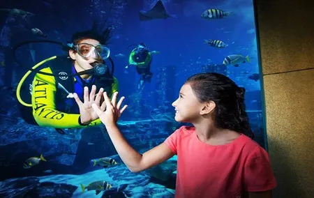 Atlantis Lost Chamber Aquarium in Dubai