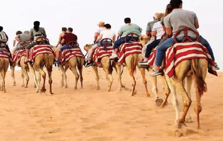 Morning Camel Trekking Safari Dubai ( with refreshment )