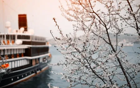 Private Transfer-Prague to River Cruise Dock Nuremberg: Port / Harbor transport