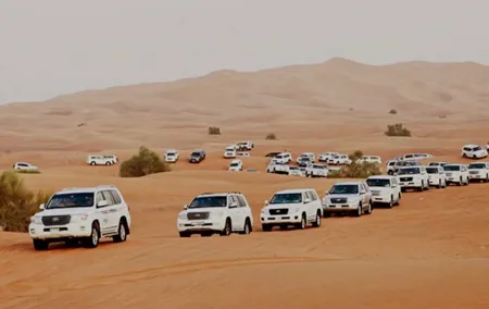 Dubai: Half-Day Desert Safari ,Camels & Sunset