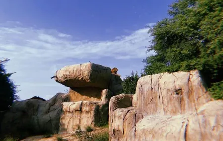 Dubai Safari Park with Pick up and Drop off