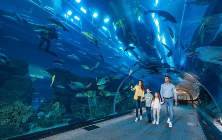 Dubai Aquarium and Underwater Zoo