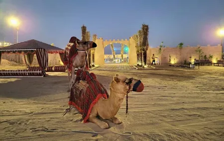 Luxurious Platinum Desert Safari Experience in Dubai