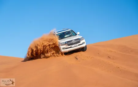Evening Desert Safari in Dubai with Dune Bashing , Camel Ride and BBQ Dinner
