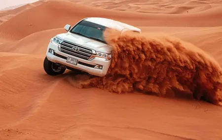 Evening Desert Safari Tour with BBQ Dinner and Live Show in Dubai