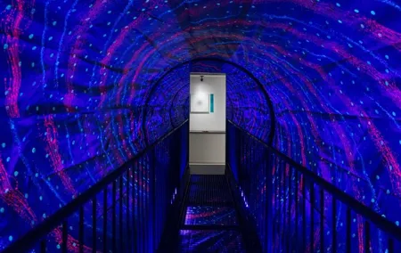 Dubai Museum of Illusions with Private Transfers