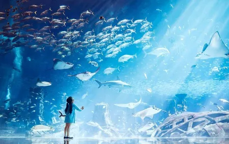 Dubai The Lost Chambers Aquarium Entrance Ticket