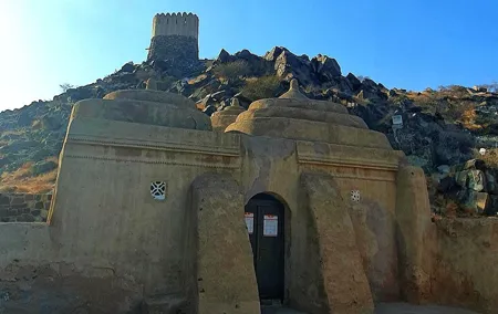 Private East coast UAE Guided Tour