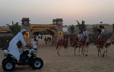 Morning Desert Safari With Quad Bike & Camel Ride Experience