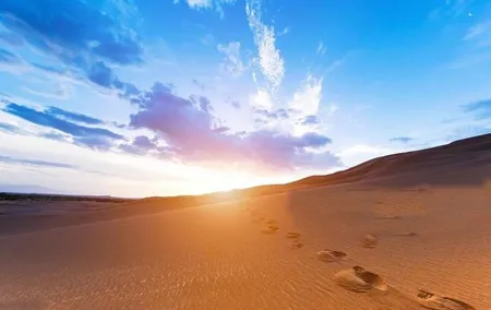 Sunrise Desert Safari