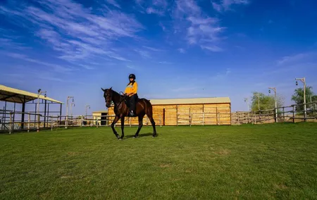 Dubai Al Marmoom Oasis Horse Riding Experience with Snack